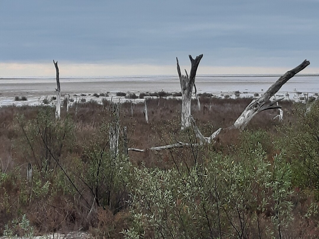 Zoutmeer  Miramar