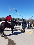 Paarden tijdens de openlucht mis