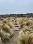 Wandeling naar de canyon