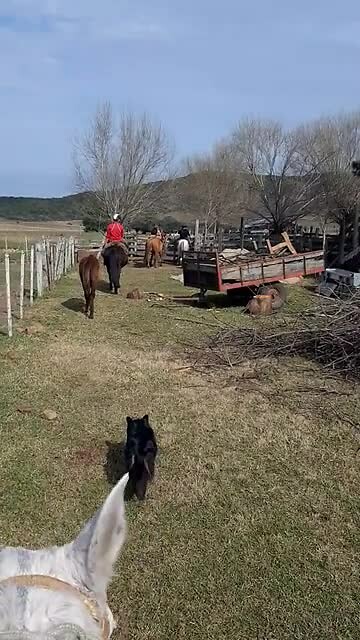Gaucho y gaucha