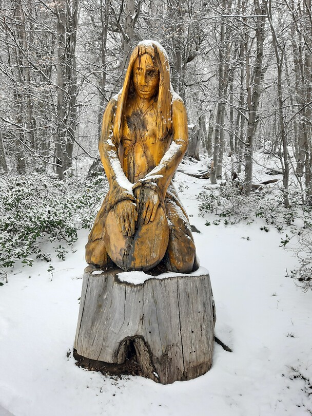 El bosque