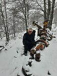 El Bosque