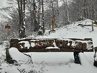 El Bosque Tallado