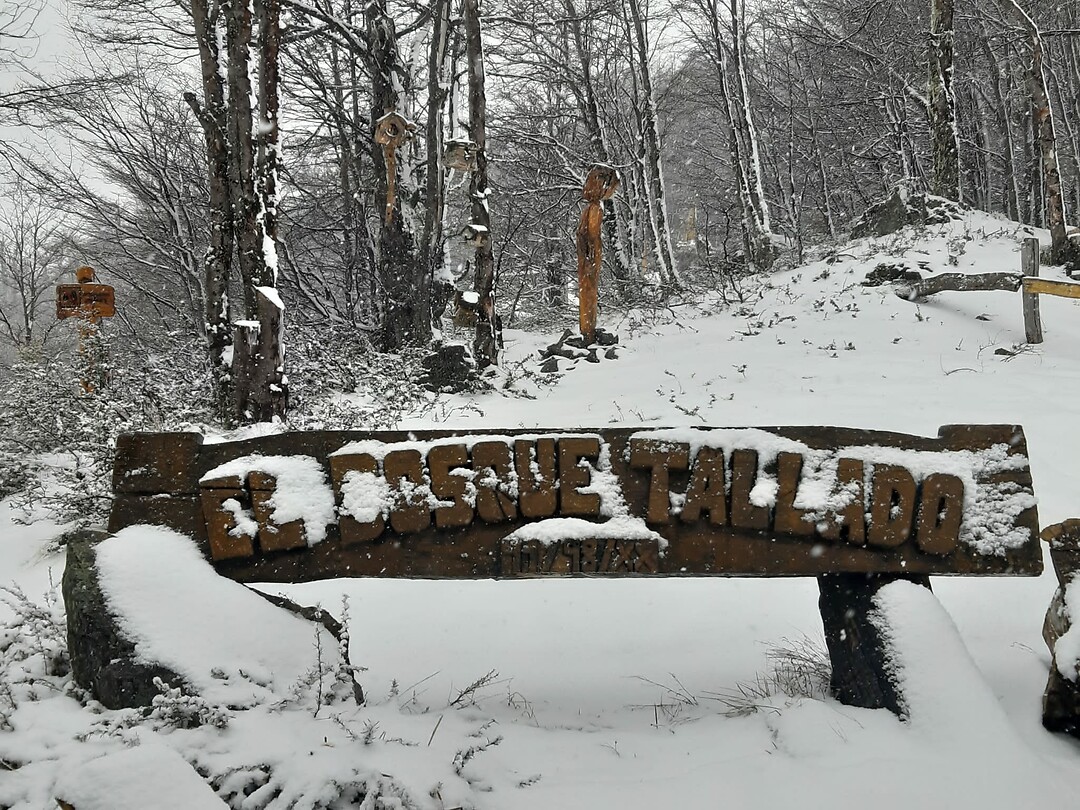 El Bosque Tallado