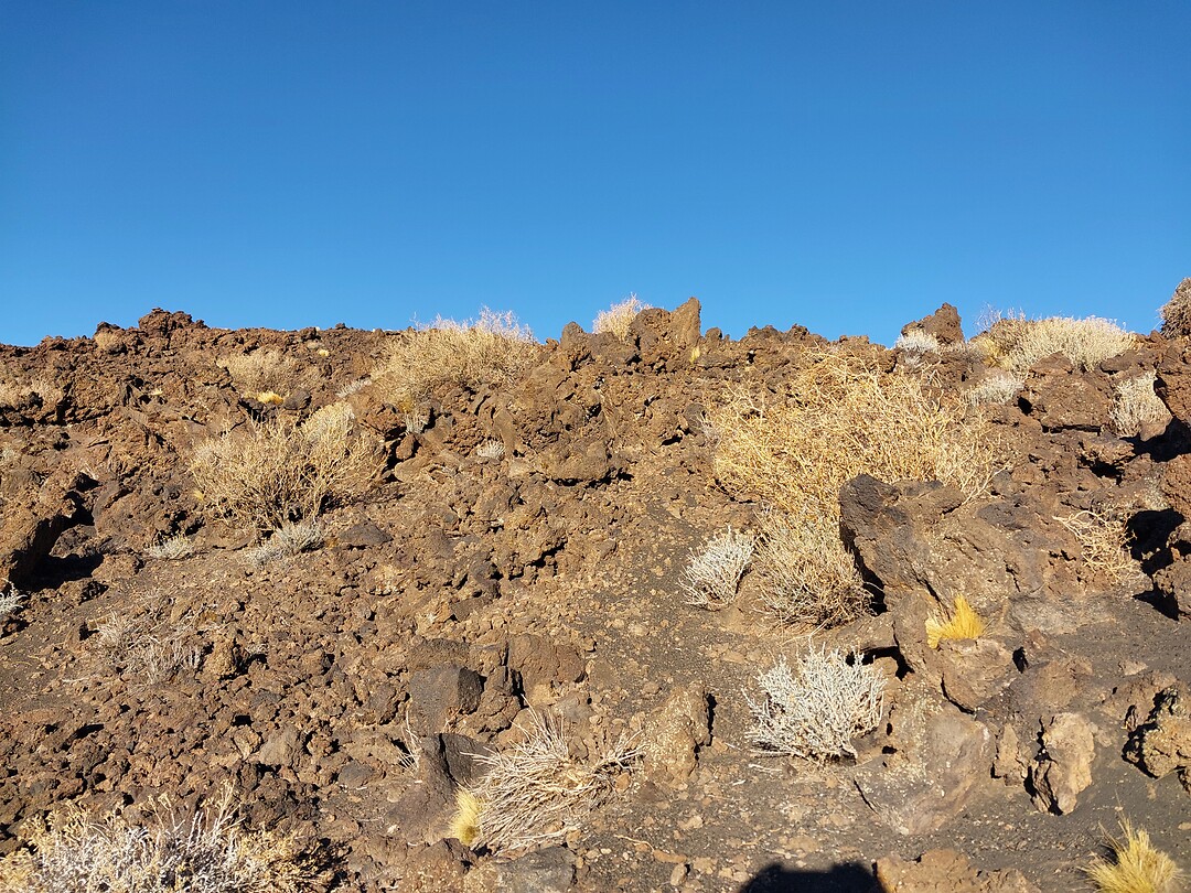 Brokken lava