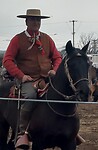 Gaucho