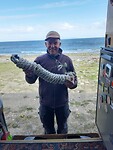 Sil de Strandjutter