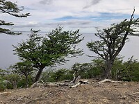 Laguna Blanca
