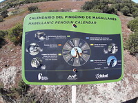 Infobord pinguïn kalender