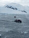Zodiacs op zee