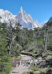 Fitz Roy