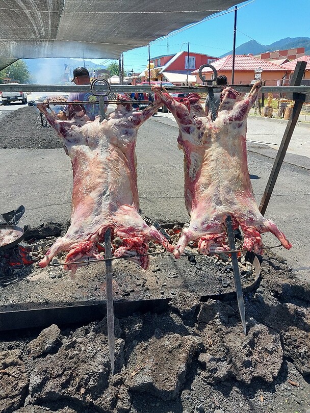 Varkens aan het spit