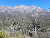 La Campana