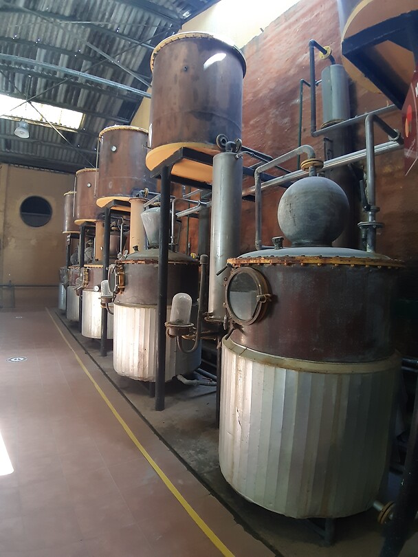 Het geheim van pisco