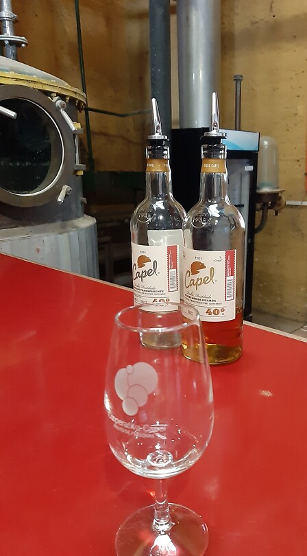 Pisco proeven