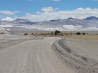 Onderweg in La Puna