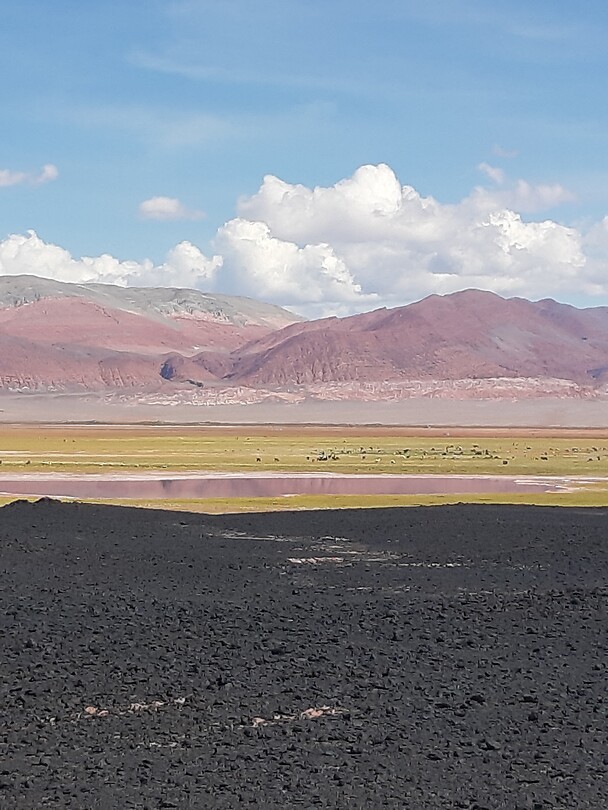 Kleuren in Puna