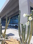 Mercedes garage