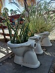 Kunst bij de dameswc op de camping bij René