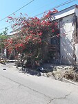 Straat in Pica