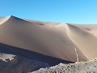 Zandduinen