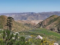 Altiplano