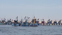 Vissersboten uit Pisco