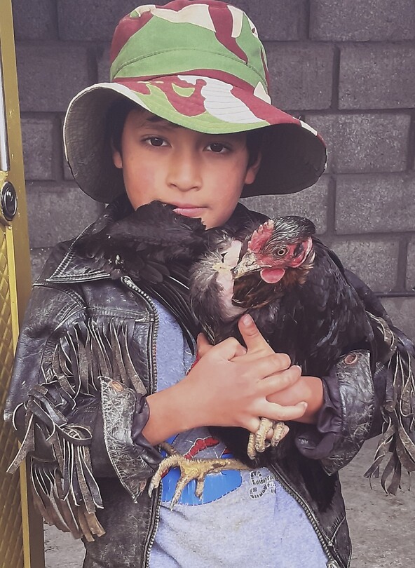Jongen met kip