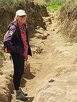 Wandelen