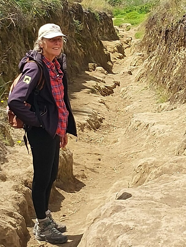 Wandelen
