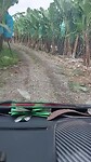 Bananenplantage Ecuador