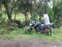 Melktransport