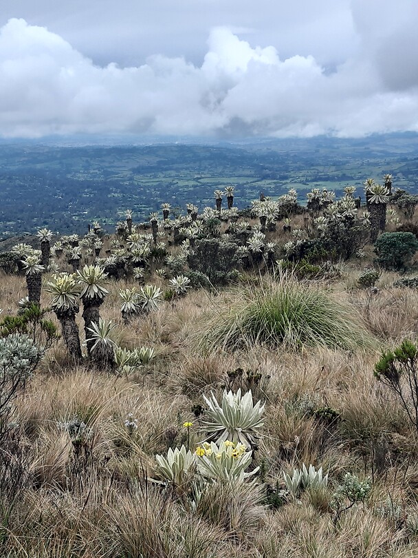 Terugweg van de top