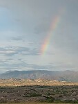 Regenboog