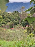 Zo mooi is Colombia