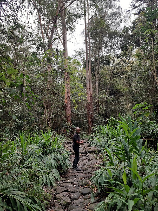 Wandeling