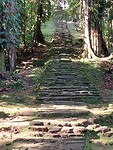 Trappen tussen de terrassen