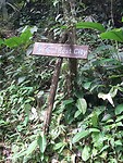 Lost city