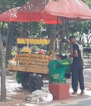 Fruithapje te koop