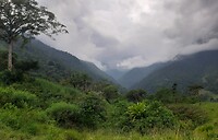 Sierra Nevada
