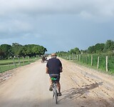 Op de fiets met koetsjes op de weg