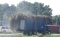 Transport suikerriet