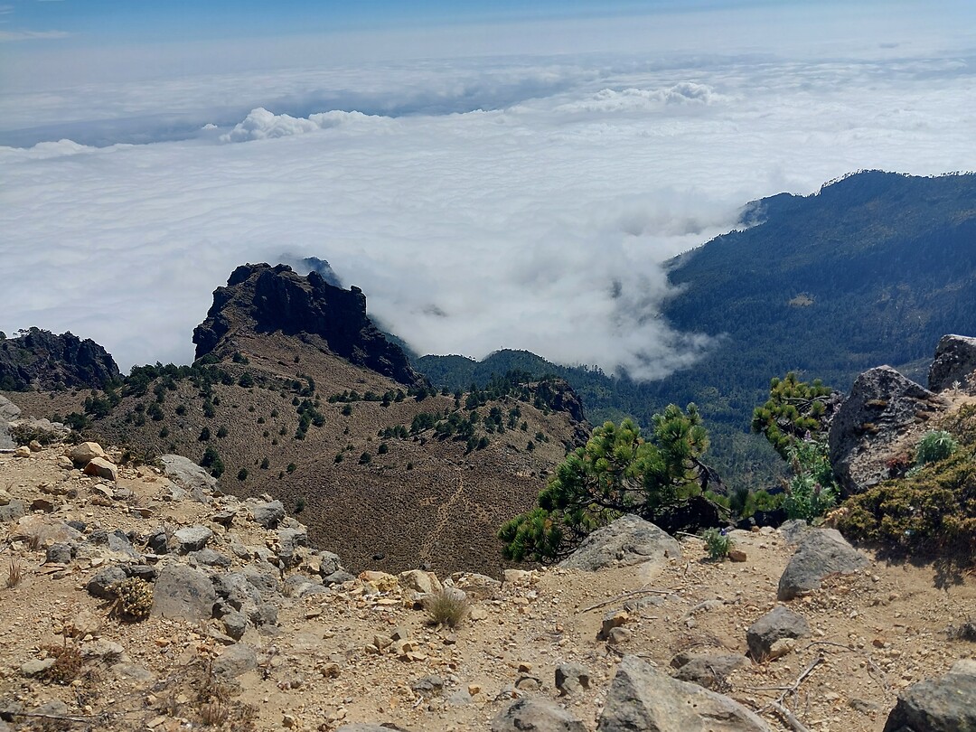 Vanaf de Cofre de Perote