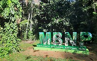 Logo Mayflower Bocawina National Park