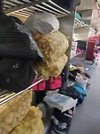 Wat gaar er allemaal mee in de trein