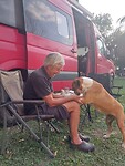Weer een boxer.