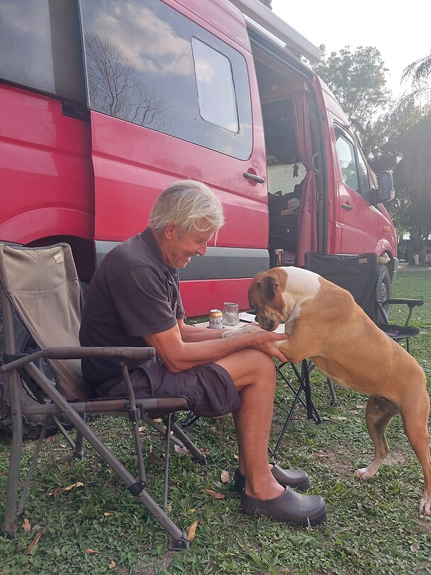 Weer een boxer.