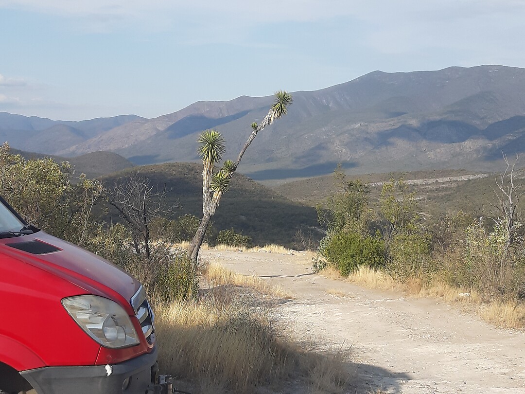 Bushcamp