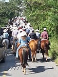 Paarden processie