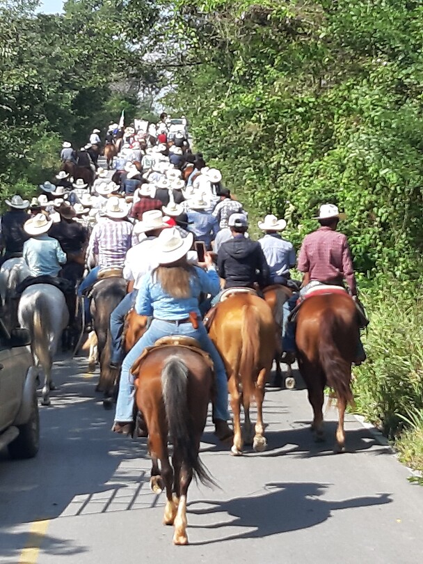 Paarden processie